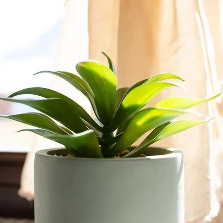 Sarre Skyline - Relax In Valle D'aosta Dom wakacyjny Aosta